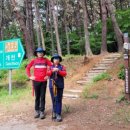 태마한의원 이미지