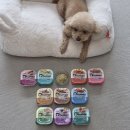 재미난소프트 | 강아지 사료 추천 기호성 역대급 소프트 애견사료 듀먼 자연화식