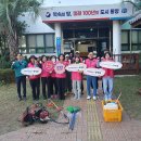 봉평동주민센터 이미지