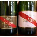 뭄(mumm)