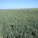 에이치농장 이미지