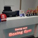 성남권투 이미지