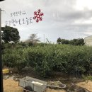 햇살머금고바람한모금