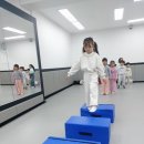 경희대 석사 백호태권도장 이미지