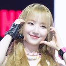 해피바이러스