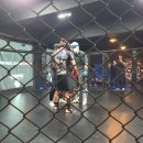 복싱 MMA 주짓수 마이티짐 | [정권멀티짐MMA주짓수]2025년 첫 MMA합동훈련 / 안양mma / 평촌mma