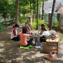 도봉초병설 이미지