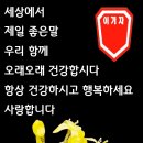 내인생의봄날