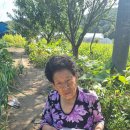 추석물품전달 (설렁탕 간장 물엿 꾸러미) 이미지