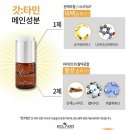 비타메인 이미지