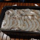 입화산 참살이숲 제2오토야영장 네이버블로그