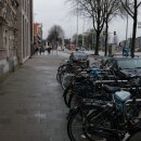 한글2010 활용 이미지