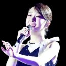 강산체육관 이미지