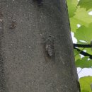 복중농장 이미지