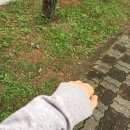 석동내과연합의원 네이버블로그