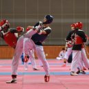 영광태권도체육관 이미지