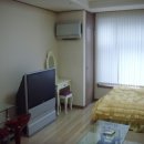 이스타빌 이미지