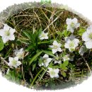 바다와하얀등대 이미지