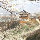 썸데이B