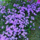 서탄초등학교 이미지