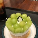 (주) 레마프레소 | 이번주 다녀온 양산카페🦖(허들링,레마프레소,심원,비화) 솔직후기