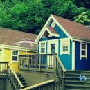 강촌초코민트 이미지