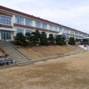 명지초등학교 Daum카페