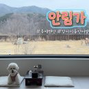 안림가 | [강원도 홍천] 안림가ㅣ애견동반 숙소 3박 4일 숙박시설 · 청결 솔직후기