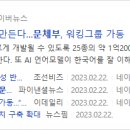 스투디오루시아 네이버블로그