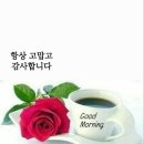 별님약국 이미지