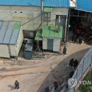 이영재농장 이미지