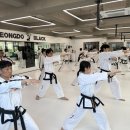 정도태권도장 블랙 이미지