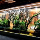 디오션리조트(호텔) 이미지