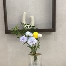 데르마피부과의원 이미지