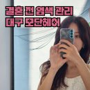 페이보릿헤어살롱 | 결혼식 전 웨딩 염색 잘하는곳 대구 중구 미용실 모단헤어 내돈내산