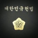 대한민국 헌법 (헌법 제10호, 1987.10.29., 전부개정) 이미지