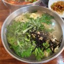 맛칼국수 이미지