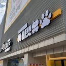 아이캣유 이미지
