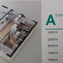 편안채 이미지