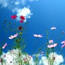 배동문농장 이미지