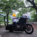 계림정야영장 이미지