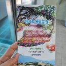 근포항 | [거제 여행] 거제 통영 가볼만한 곳 장사도 해상공원 유람선 근포항 출발