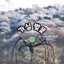 (주) 리움 호스텔 | 용인 호암미술관 벚꽃 드라이브/에버랜드 튤립축제,하늘정원길/케이브로스커피 (주차팁/예약)