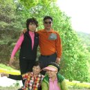 안계1 Daum카페