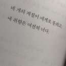 [ ⌁💜 . 210 ] 사계절 빠짐없이 멜로망스를 응원해요 ✨ 이미지