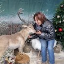 방배천로 126 이미지