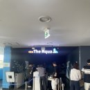 마린존 | 아쿠아플라넷 일산 방문후기