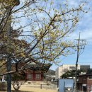 카페도틀 이미지