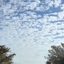 쌍우물 | 오사카성 여행 후기/산책만으로도 충분했던 오사카 대표 랜드마크