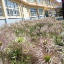 만덕초등학교 이미지